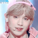 판빙빙 남동생