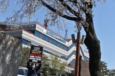 여성 폭력, 폭행 가해자