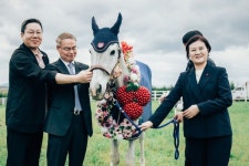 기부천사 경주마