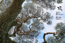 차홍규 교수가 만난 사람 | 류안 시인