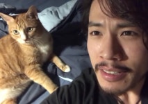 고양이