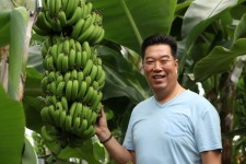 [현장탐방]"서울 근교에서 바나나가 재배된다"···농업기술의 진화(進化)
