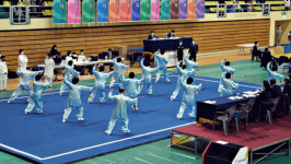 중국영화에 나오는 그 무술, 우슈(武术)