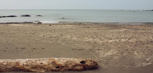 [제주도 여행] 삼양검은모래해변