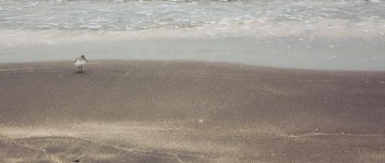 [제주도 여행] 삼양검은모래해변