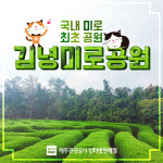 제주도명소 국내 최초 미로공원 김녕미로공원