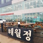 [제주도여행]리뉴얼 오픈한 보말 맛집 해월정 다녀오기 최신