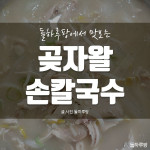 [곶자왈손칼국수]도민이 추천하는 교래 닭칼국수 맛집 
