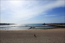 제주도 해수욕장 :) 이호테우해변 & 함덕서우봉해변 점심은 수제버거로!