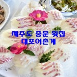제주도 중문 맛집 바다의 풍미가 제대로인 제주도 중문 맛집 대포어촌 횟집~!