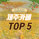 인스타 감성 제주도 카페 TOP 5 (+ 제주도 핫플, 감성카페추천)