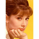 DBM-386 오드리 헵번 Audrey Hepburn 영화포스터 A4 셀럽 배우 : 조이포스터