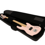 Evans Kelley 프리미엄 베이스기타 케이스 (BG-3000) : 인생기타