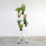 자노타 알베로 / Zanotta Albero : detoi