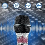 가라오케 노래 성능을 위한 다이아몬드 효과가 있는 Heikuding 크리스탈 유선 휴대용 금속 다이나믹 마이...