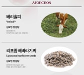 아토피 피부염 개선 전 세계 12개국 특허 출원 전직 약사 한의사 개발. : 오가닉 가온누리