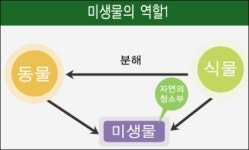 이엠(EM)오성방역 | EM차단방역센터 부산총판