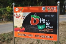 하늘이고땅딛고농원