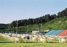육수당금강산출장뷔페 | 금강산출장부페