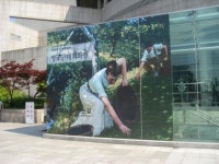 와이지플랜