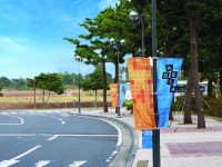 와이지플랜