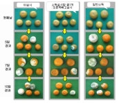 EM차단방역센터(부산총판) | EM차단방역센터 부산총판