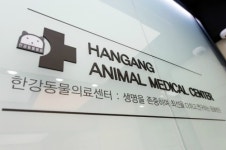 한강동물메디컬센터