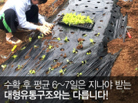 자연명가만물상회 | 자연명가