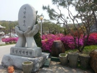 대한민쿡-음성소망병원 | 의료법인 음성소망의료재단 음성소망병원