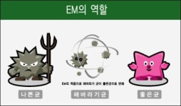 이엠(EM)오성방역 | EM차단방역센터 부산총판