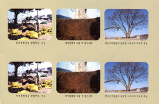 록림조경농원 | 경림조경농원