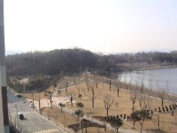 부동산랜드(와부덕소점) | 부동산랜드 삼환점