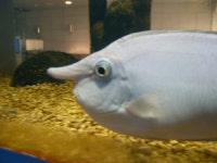 기발찬광고기획사 | 기발찬광고