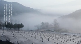 정관장 마산호계점 | 정관장 호계점
