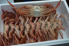 청풍수산