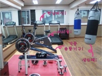양평빅스타복싱체육관 | 양평 복싱 체육관