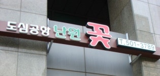 도심공항난원