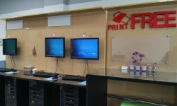 디엔피