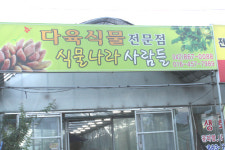 식물나라사람들