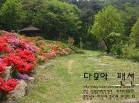 다모아팬션