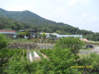 용추솔마루민막 | 용추민박