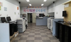 디엔피