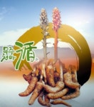 덕유산농원