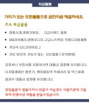 아이비스대부