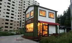 플레인