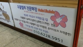에이씨씨훌라우쿨렐레 | 훌라우쿨렐레 동부산지사