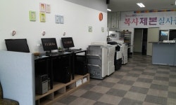 디엔피