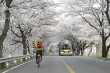 코렉스자전거신장점 | 코렉스자전거 하동점