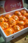 보름마켓오름피크닉 | 마켓오름