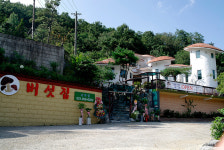 버섯골동해점 | 버섯집초리골